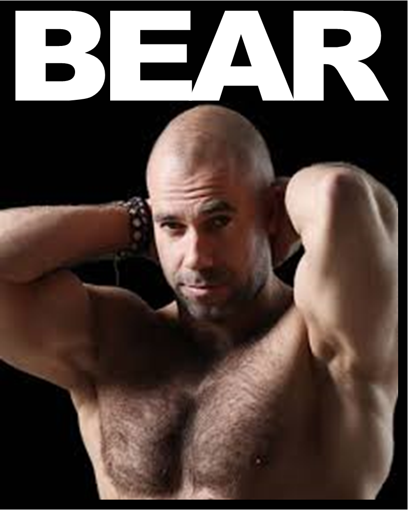 Gay blond bear